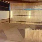 خيزران بامبو