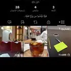 يوزر تيك توك