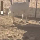 حري مغلق