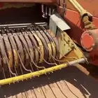 لبانه ولجر