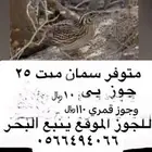 سمان 10  قمري 110