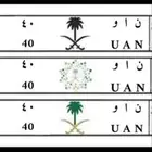 لوحه ثنائي منيزه