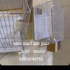 طير روز مع قفصه