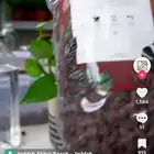 جده حي السامر