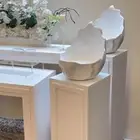 استقبال صواني تقديم صحن تقديم ايجار