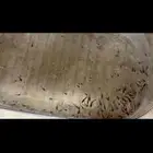 فراخ سمك فايتر