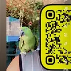 يلوناب مميز