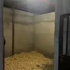 غرف ايواء خيل