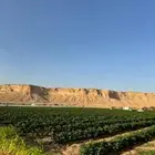 مزرعة للبيع تبعد عن الرياض 70 كيلو