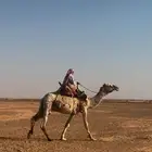رحول اوضح