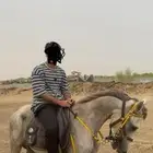 خيل مهر العمر 2 سنتين