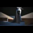 فرس واهو