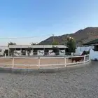 مربط فرسان المدينه ايواء وتعليم الفروسيه
