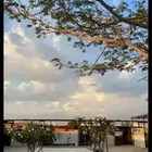اسطبل ايواء خيل