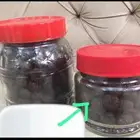 بخور دوسري درجة اولى على الشرط