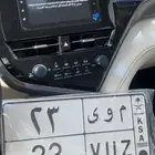 لوحة ثنائية مميزة