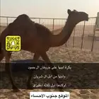 حوارة مجهم طيبة