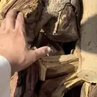 حطب مستورد ممتاز