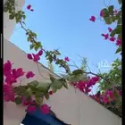 للإيجار استراحه مساحة 1300 متر في العفجه