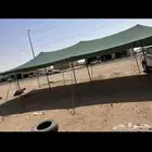 مظلات حلال ابل مظلات غنم رواويات ماء اشرعه