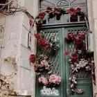ابي شقه بالعزيزيه عوائل بالإيجار شهري