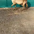ساكنيه خصم الخصم تممم البيع