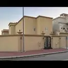 مامري