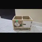 ارنب للتبني الموقع السلي