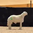 مشروع حري فاخر ( تم البيع )