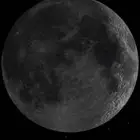 مطلوب جيب ربع من 4 وفوق