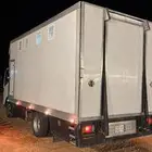 عربة خيل 6 روس دينا خيل 6 روس نقل خيول