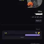 حساب ولف( برلنقو ) لفل 17