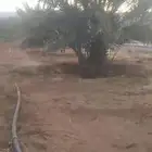 مزرعة للإيجار