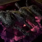 حمام على الجمر مشوي المجمعه_المستقبل