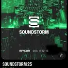 تذكرة ساوند ستورم يوم 11