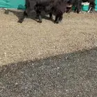 جفرات عوارض خصم الخصم دفيع