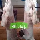 ذبايح هرافى من انتاج المزرعه