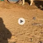 رخل للبيع موقعها برك