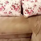 جلسه كامله لغرفه ممتازه جدا ونظيفه ولم تستهلك