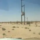 للبيع ارض زراعية في الافلاج جنوب البديع