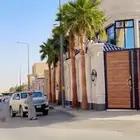 نخل واشنطونيا