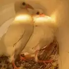 حمام فرنسي منتج على شرط واحجام مشاءلله تبارك الله