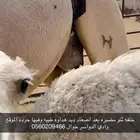 خلفه طيبه