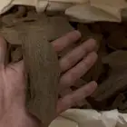 عود موروكي اصقون تربل سوبر قديم ومن الاعواد النادره