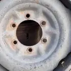 جنوط شنبر