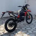 دباب الوسام الناري 2026