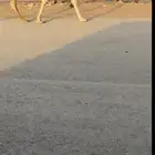 لقحه لها 9 شهور