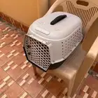 قفص للقطط وايضا  بيت للقطط