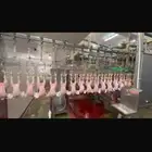 ترخيص دواجن آلي انشائي للبيع