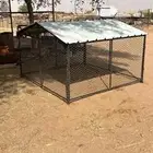 شبك دجاج